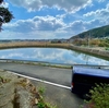 横ヶ倉地区の池群（長崎県福江島）