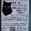 猫ちゃん捜索のお願い