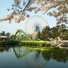 【伊勢崎市】華蔵寺公園【桜の名所】