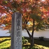 京都　洛北紅葉で有名な「圓光寺」