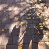 子供たちの成長