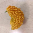 人生ｎｏｗ