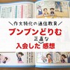 ブンブンどりむに入会して１ヶ月経った感想！作文特化の通信教育ってどんな感じ？【口コミ・評判】