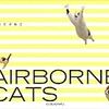 BOOK〜癒される写真集！…『AIRBORNE CATS そらとぶねこ』