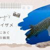 セブ島旅行日誌:絶対 ジンベイザメに会えるシュノーケリングの感動体験