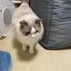朝から元気におもちゃ遊び