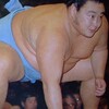 富士乃真司(矢木哲也)