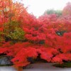 寒中にして温かな“あの文化”