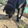 新人さん ハル＾＾