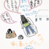 帰って来た。