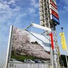 袖ケ浦公園のソメイヨシノの開花状況
