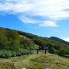 進む季節、山を降りる紅葉 ―― 気軽に行ける！みちのく錦秋へ