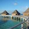 ランギロア島でダイビング（イルカ）
