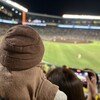 夏はやっぱり甲子園のナイター！(753)