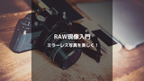 RAW現像入門：ミラーレスカメラで撮った写真を美しく仕上げる方法