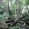 鬼ヶ鼻岩〔第591歩〕