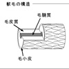 研究部会通信4月号 