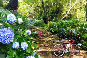 【行ったつもりシリーズ】常磐線サイクルトレインで行く筑波山とあじさいの名所（3）筑波山神社と雨引観音
