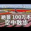 今が見頃！新潟県五泉市チューリップまつり100万本。DJI AVATA 360の融合が捉えた春の絶景フルコース！広大すぎる世界をドローン男子空撮がお届け。