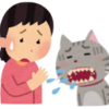 猫がむせる・せき込む！３つのパターン別の原因と可能性のある病気
