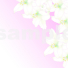  【ストックイラスト】百合の花の背景・飾り花