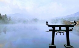 記事を見る