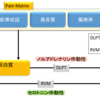 痛みを調節する仕組み～pain modulationのメカニズム～