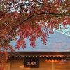 【東京都世田谷区  九品仏浄真寺】閑静な住宅街にある都内屈指の紅葉の名所を散策