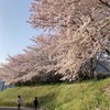 7歳の子と張り合う義母｜コロ助がマイボーム腺炎