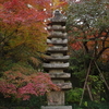高幡不動で紅葉