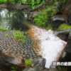 A25 海外の温泉付きホテル⑧ 台湾２：員山温泉