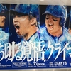 １１月のご案内　ESS占術ｱｶﾃﾞﾐｰ