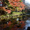 紅葉2013：小石川後楽園 (2013/11/30)