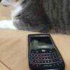 Blackberryへの愛