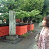 京都嵯峨野の芸能神社