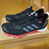 ニュートレランシューズ Adidas Terrex Two Flow レビュー！