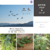 【二十四節気の香り養生】立冬（りっとう）：2024年は11月7日～過ごし方とイメージする香り