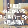 【川口】看板ねこが大人気の「カフェ＆バー Spika」が5月末閉店