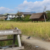 静岡旅行記2（登呂遺跡）