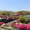 【音戸大橋とツツジの花】_広島県呉市