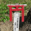 鷺栖神社の小さな鳥居