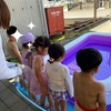 始まりました🏊