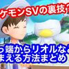 ポケモンSVの裏技？ 初っ端からリオルなどを捕まえる方法と南4番エリアへの行き方まとめ