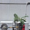 熱中症になりかけてしまった…熱が蓄積されていたみたいだ