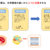 【身体作り】3大栄養素②　脂質編【基本】