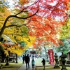 紅葉の名所はやっぱり名所でした  つづき