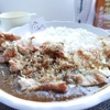 ちょっと変わり種、山賊揚げカレーが食べられる店。