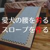 予算1,000円の犬用のスロープ。セリア商品と端材で作成。