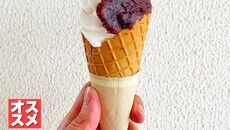 新潟名物 笹団子の田中屋本店のソフトクリームが美味しかった!