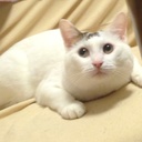 みゆかるBlog-編集者やめろっ!